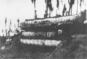 Photograph of a Japanese pillbox