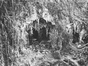 Photograph of entrance to East Caves