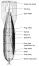 Japanese Type 98 Number 25 Land Bomb