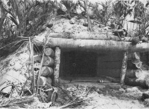 Photograph of 75mm
          bunker at Cape Torokina