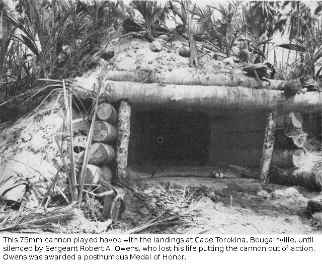 [Image: Bougainville__75mm_full.jpg]