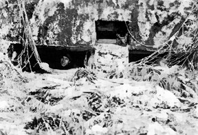 Photograph of captured Japanese pillbox