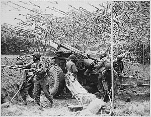 Photograph of howitzer and crew