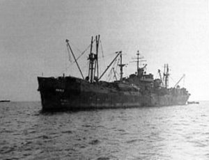 Photograph of Indus-class net cargo ship