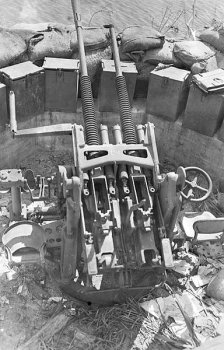 Photograph of dual 25mm/60 antiaircraft gun