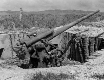 Photograph of 4.7" naval gun emplaced for coastal
        defense