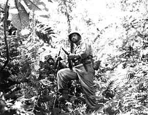 Photograph of Army troops moving through the jungle on New
        Georgia