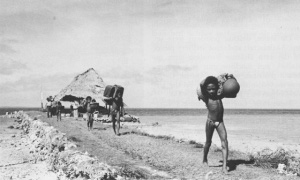 Photograph of coral causeway on north Kiriwina