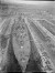 Aft view of King George V class in dry dock