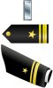 U.S. Navy lieutenant junior grade
              insignia