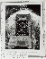 LVT-1 top view