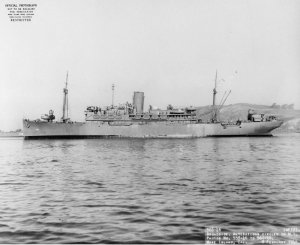 Photograph of USS Mizar