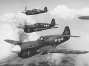 Photograph of P-40s