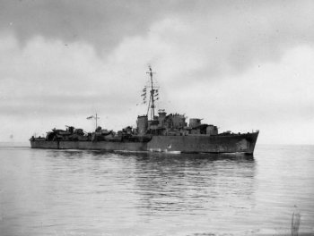 Photograph of HMS Panther, a Pakenham-class destroyer
