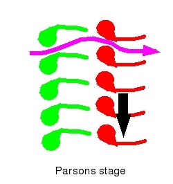 Diagram of Parsons
        stage