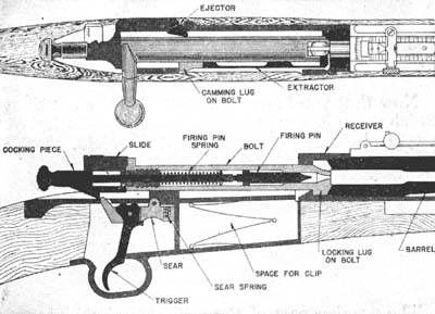 Diagraph of action of Springfield
              rifle