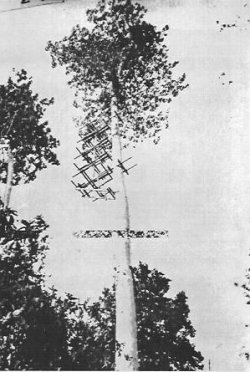 Photograph of Taichi-6 radar transmitter antenna
