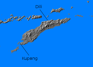 Relief map of Timor